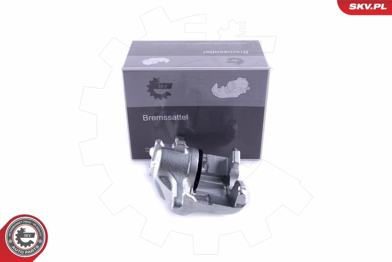 Brake Caliper